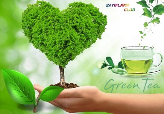 Yeşil çay ile zayıflama